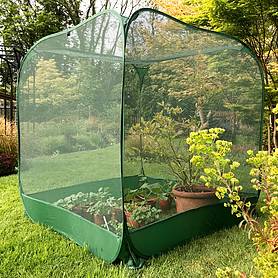 Pop Up Fruit Cage & Brassica Grow-House - 1.35m high